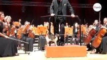 Concerto di musica classica: un dettaglio sul palco fa ridere il pubblico (Video)