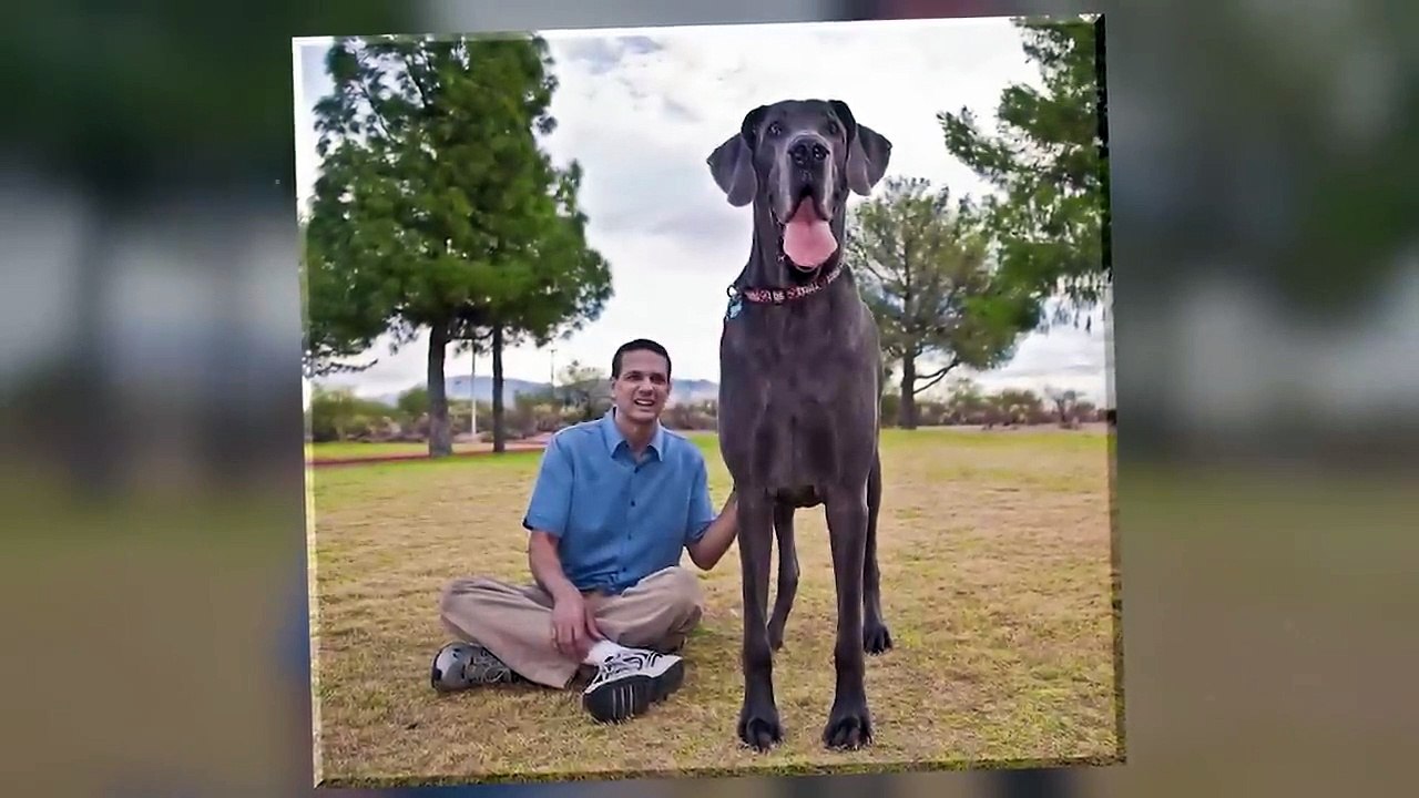 15 LARGEST Offshore Oil Rigs