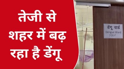 नोएडा: जिले में लगातार पैर पसार रहा डेंगू, अस्पताल में बनाया गया स्पेशल वार्ड