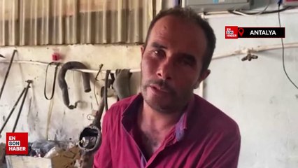 Akreplere kendini sokturdu, hayvan sevgisi dedi