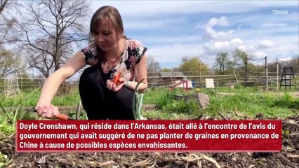 Un fermier plante des graines en provenance de Chine et un fruit étrange pousse dans son jardin