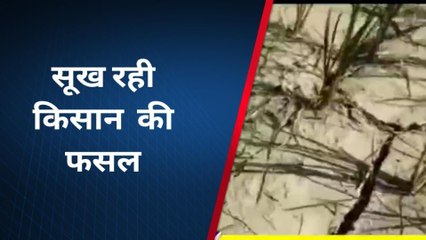 अमेठी: यहां कैसे हो खेती किसानी, जब नहरों में ही नहीं है पानी; सुनिए किसानो का दर्द