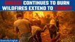 Greece Wildfires: Country at the brink of mammoth disaster with no let-ups in blazing infernos