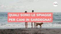 Quali sono le spiagge per cani in Sardegna?