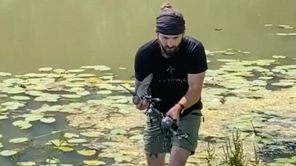Man Rescues Dove Trapped In Tree Using Drone | Wild-ish TV