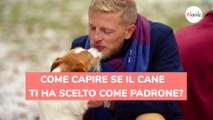 Come capire se il cane ti ha scelto come padrone?