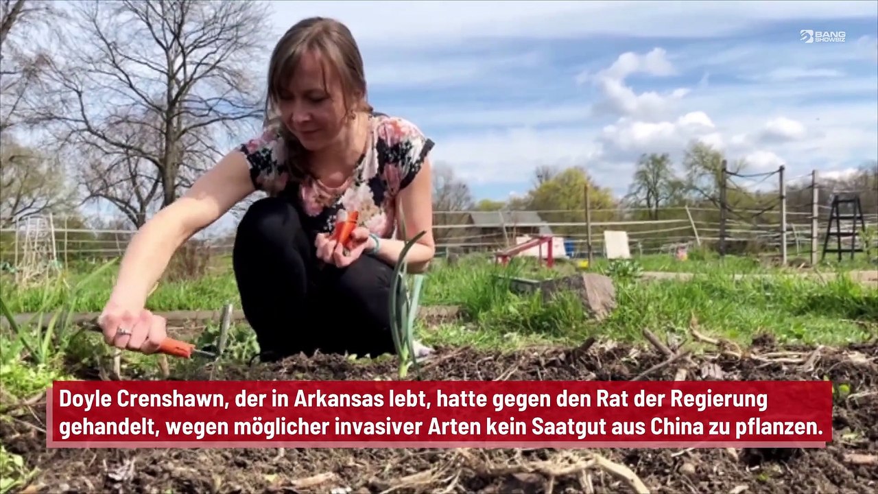 Farmer pflanzt Samen aus China und eine seltsame Frucht wächst