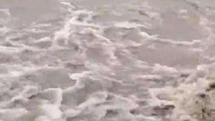 लखीमपुर खीरी: तराई में लगातार 3 दिन से हो रही बारिश के बाद शारदा नदी का बढ़ा जलस्तर