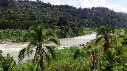 J'irai dormir chez vous - Costa Rica
