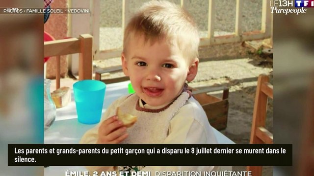 Disparition d'Émile, 2 ans : Ces deux témoins qui l'ont vu et dont les révélations questionnent