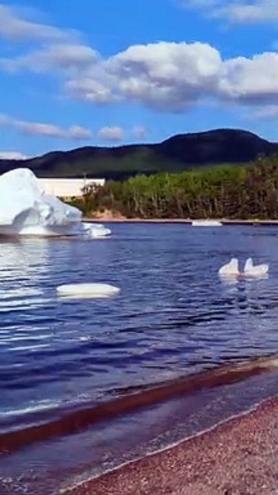 Beached Icebergs in Canada
