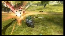 The Legend of Zelda: Twilight Princess online multiplayer - wii