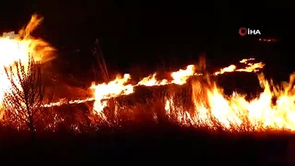 Anız yangını paniğe neden oldu