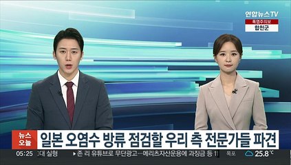후쿠시마 오염수 방류 점검할 우리측 전문가들 파견
