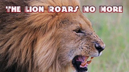 The Lion Roars No More | movie | 2023 | Official Trailer