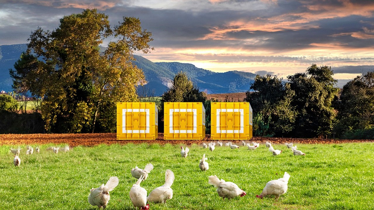 Are fly larvae the answer to UK farming's environmental woes?