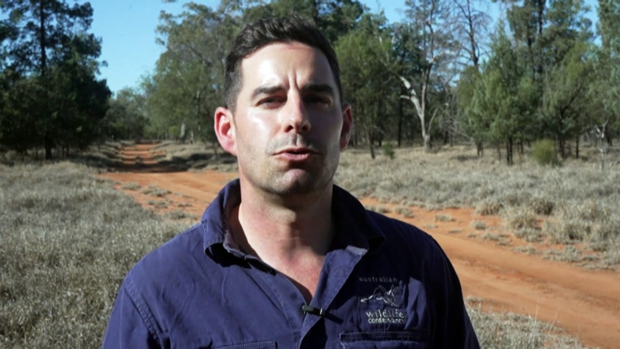 New technology being used to explore outback wombat burrows