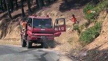 Kahramanmaraş'ta Hızlı Müdahaleyle Orman Yangını Kontrol Altına Alındı