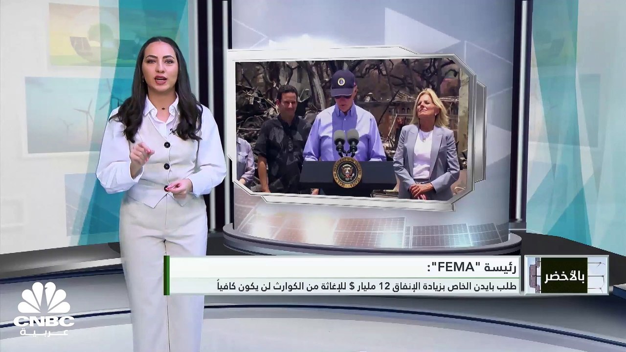 الجزر في خطر.. والشركات تتسابق لإنشاء خطط خضراء!