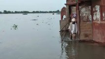 गंगा नदी का जलस्तर बढ़ने से 11 गांवों में घुसा पानी, 15 परिवारों को राहत शिविर में किया गया शिफ्ट