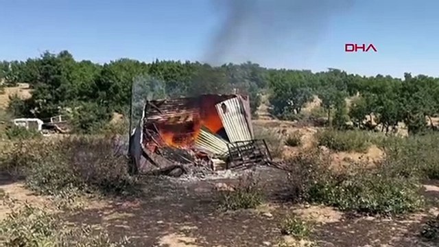 Bingöl'de Ormanda Çıkan Yangın Kontrol Altına Alındı