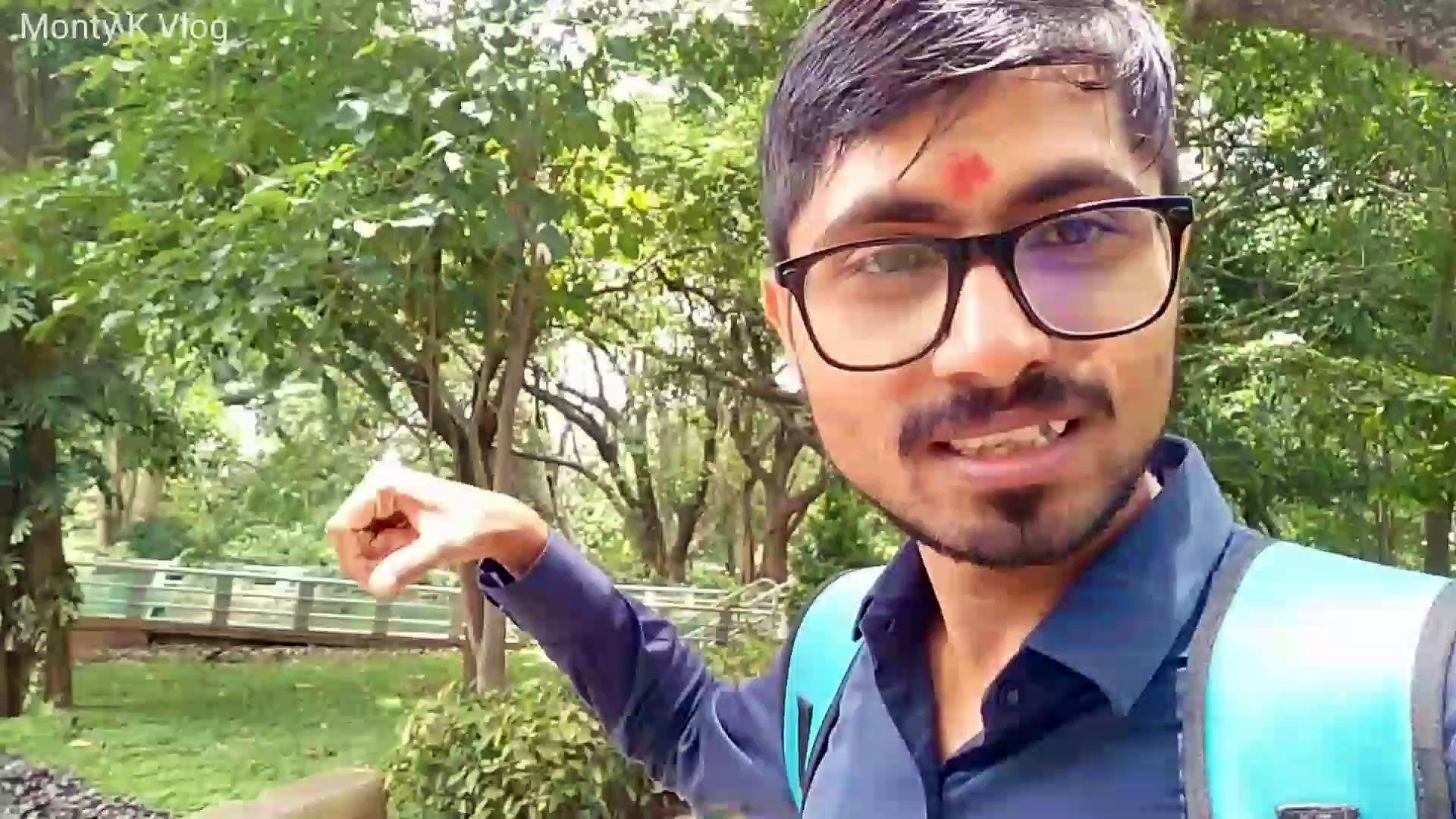 New traveling video