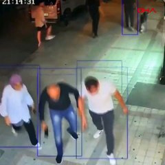 Dört ayaklıların hepsine 'gider yapan' kedi: Duman