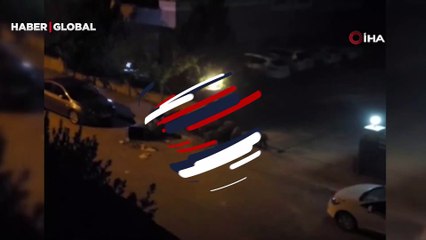 Aç kalan domuz sürüsü şehre inip çöpleri karıştırdı