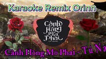 Cành Hồng Mờ Phai (Orinn Remix) - Thúy Loan cover