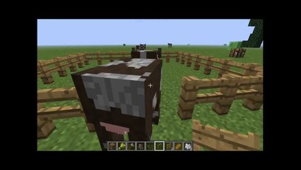 Minecraft (İnek Evcilleştirme-Çit yapımı)