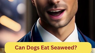 Can Dogs Eat Seaweed | Dog Food Review | Zudaan
