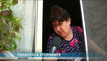 RTP Telegiornale 24 agosto 2023
