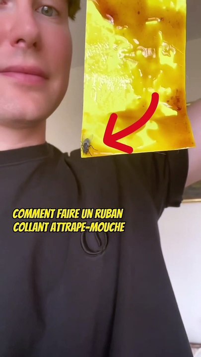 Comment faire des bandes collantes anti mouches