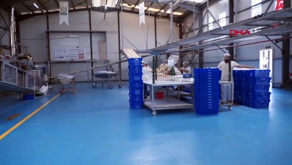 İHH, Hatay ve Kilis'teki ekmek fırınlarına un desteği çağrısı yapıyor