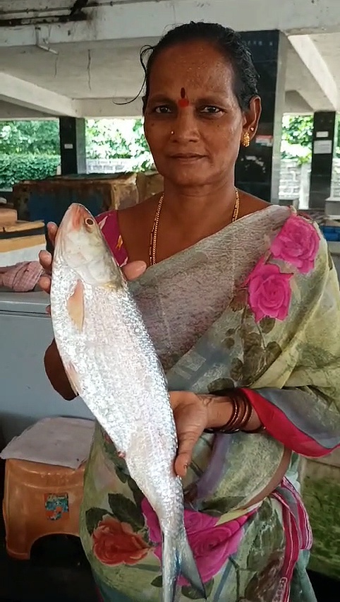 ரூ.16 ஆயிரத்திற்கு விலைபோன அரியவகை மீன்; புதுவை மீனவர் மகிழ்ச்சி