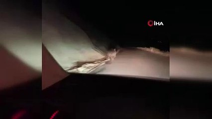 Hakkari'de ortaya çıktı, hemen telefona sarılıp görüntüledi!