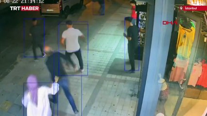 Esnafın sahiplendiği kedi köpeklere saldırdı: O anlar kamerada