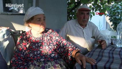 Çanakkale'deki orman yangını, 3'üncü günde kontrol altında
