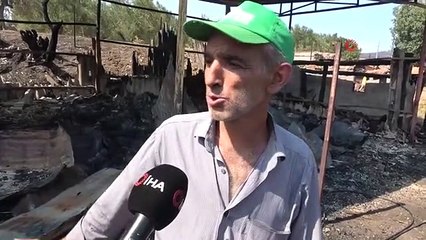 Çanakkale'deki orman yangınında hayvanlar telef oldu, yaşlı adam yaralandı