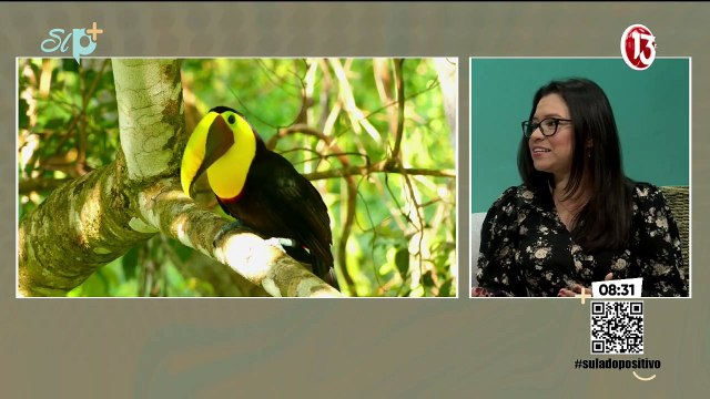 Raíces: Negocios turísticos en territorios indígenas