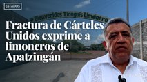 Fractura de Cárteles Unidos exprime a limoneros de Apatzingán