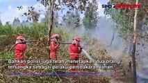 Jelang Puncak Kemarau, Kebakaran Hutan di Sumsel Semakin Meluas