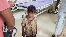 Surat Video : फिर बच्चे पर हमला...उधना में तीन साल के बच्चे को श्वानों के झुंड ने नोचा