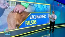 Alertan por falsos vacunados en Nezahualcóyotl, Estado de México