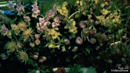 Taxi Driver - Wrecked Main Theme