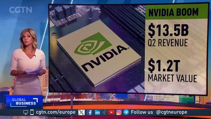 What is the potential for Nvidia, how much further can it go?