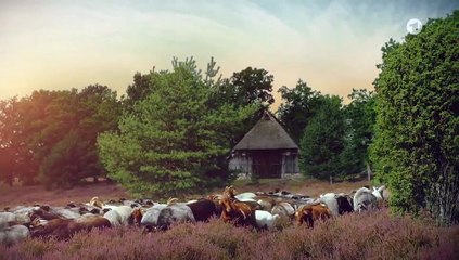 Rote Rosen 3813 folge