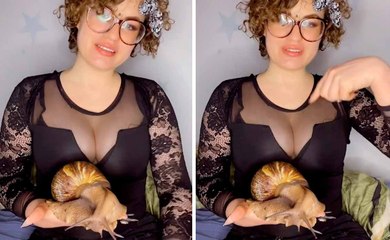 Duitse wordt een hit op TikTok met video's van haar huisdierslakken