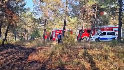 Ormanlık alanda çıkan yangın büyümeden söndürüldü