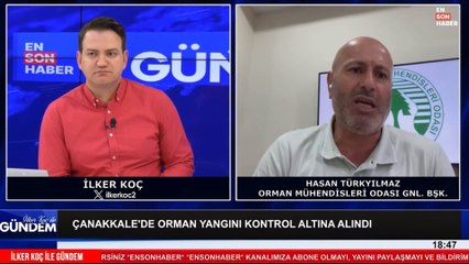 Download Video: Orman yangınları nasıl önlenir, yangınları artıran kızılçam mı? Uzmanı açıkladı